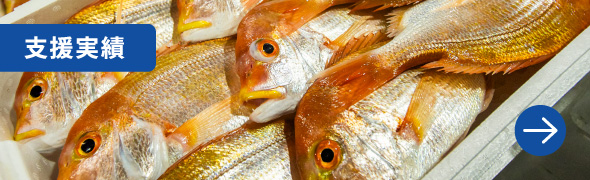 支援実績